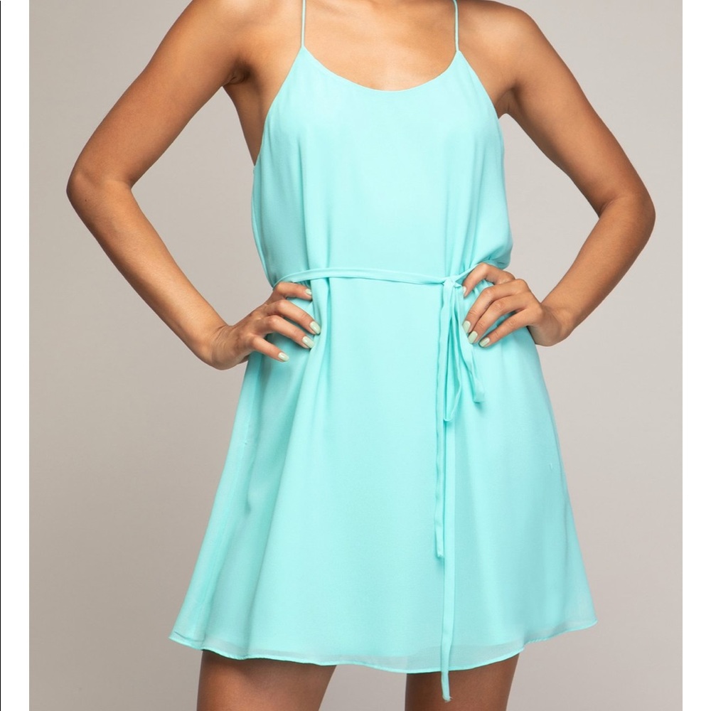 Naked Zebra Mini Dress